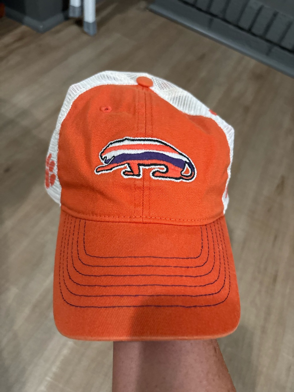 Clemson Hat